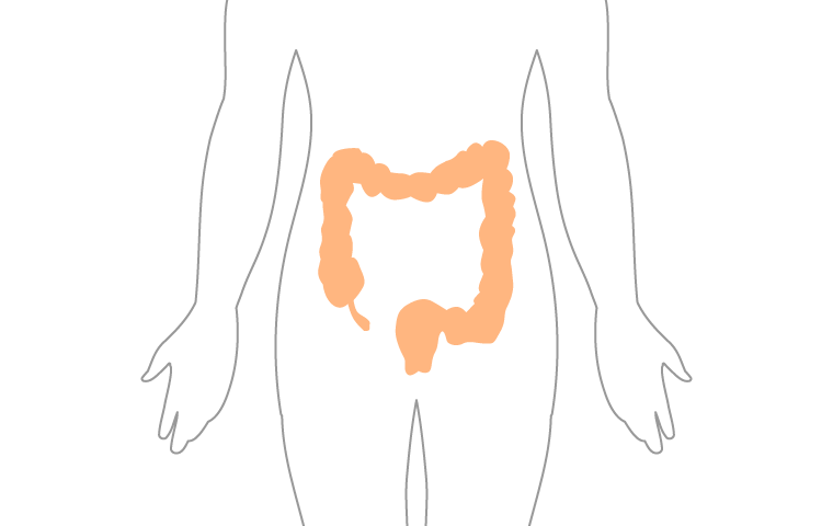 Standing at the forefront of immune system ~ Intestinal environment